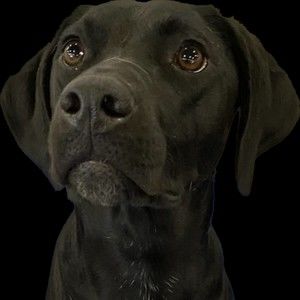 Meet your Posher, Sonia